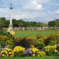 Цветы и тайны Люксембургского сада (Jardin du Luxembourg)
